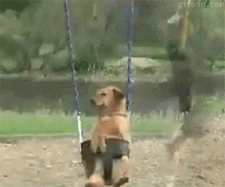 Resonance in a vibrating system can be accurately compared with someone pushing a child (or in this case a dog) on a swing.